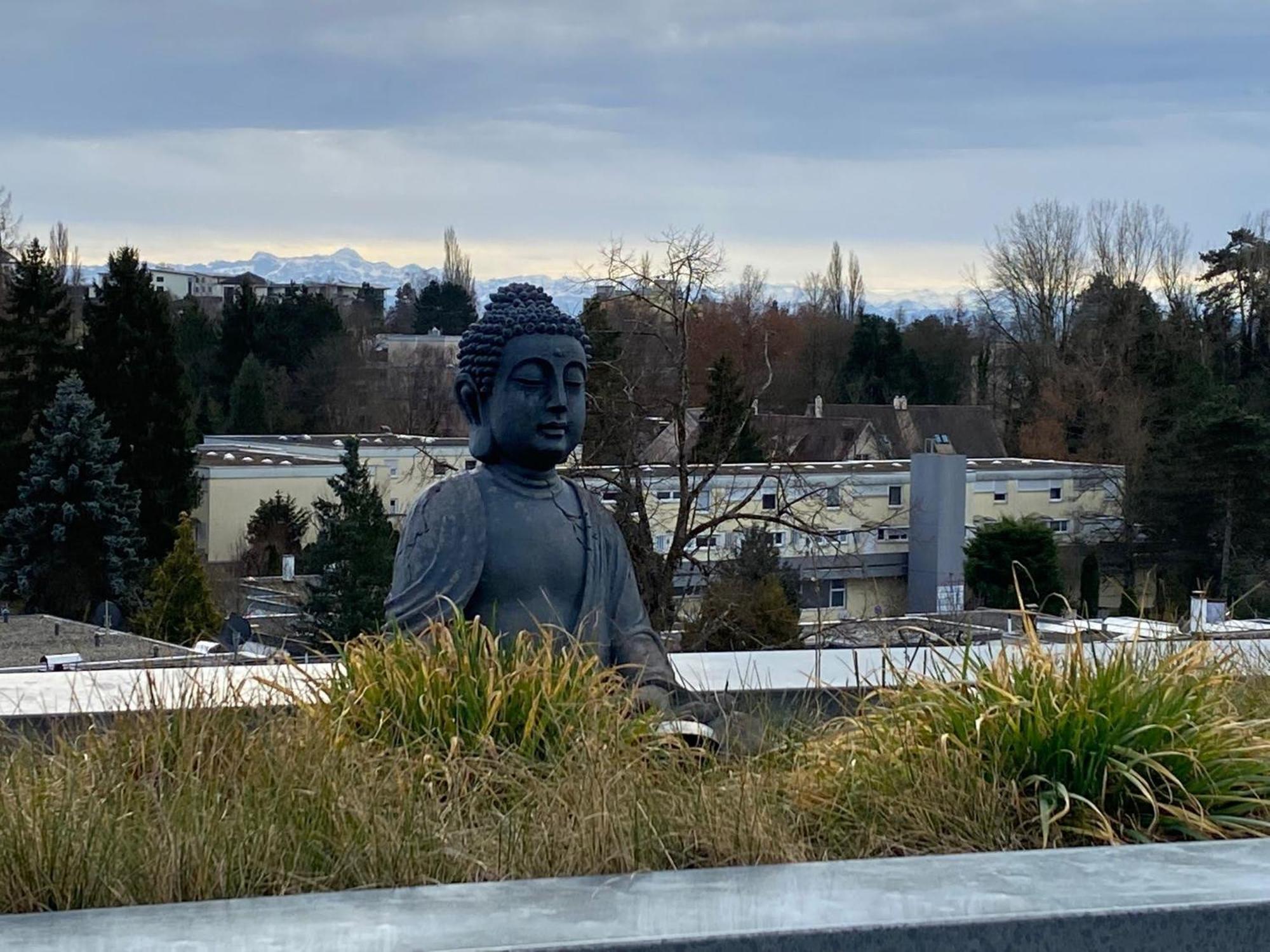 Penthouse - 3 Schlafzimmer- Sonnige Dachterrasse -Whirlpool & Alpenblick - Perfekt Fuer Romantik Oder Familienurlaub Mit Kind, Hund Willkommen - By Ferienwohnenamsee - Uberlingen Bagian luar foto